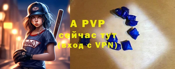 apvp Магадан